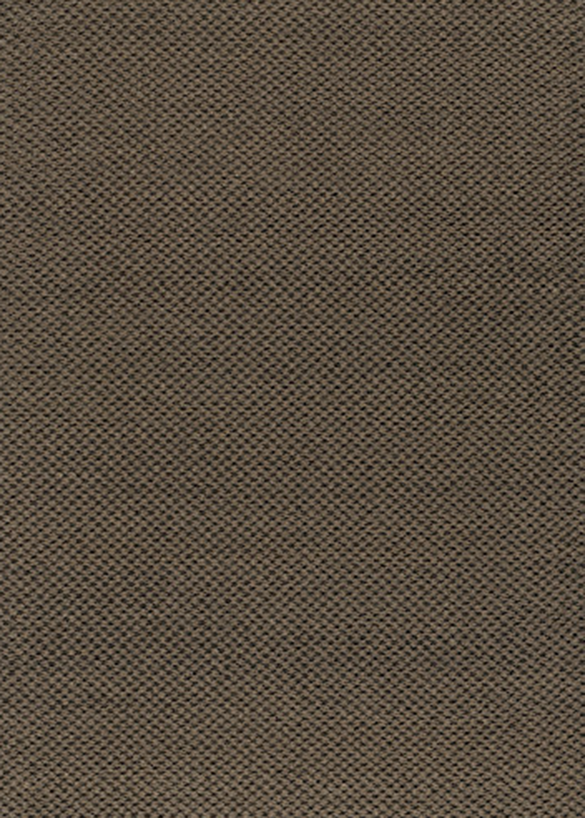 Stone & Thread 23