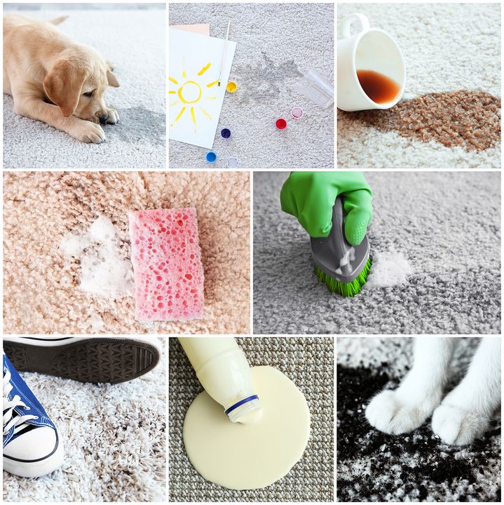 סוגים שונים של ניקיון שטיחים